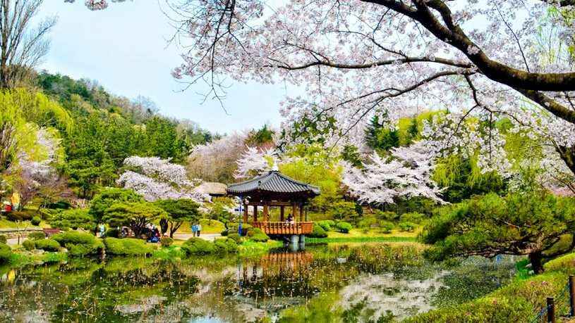 Hàn Quốc là một đất nước đầy màu sắc và đa dạng với hơn 5000 năm lịch sử và văn hóa độc đáo. Những địa điểm du lịch nổi tiếng như Hồ Gyeongju, Đại lộ Myeong-dong và Nhà hát Hàn Quốc là những điểm đến không thể bỏ qua khi đến Hàn Quốc. Hãy xem hình ảnh để biết sự đa dạng và nét đặc trưng của đất nước này.