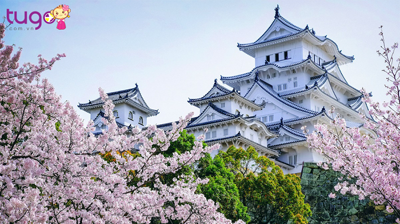 Himeji là một khối kiến trúc lâu đài được cải tạo thời xưa từ một pháo đài