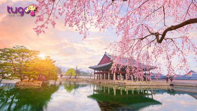 Du lịch Hàn Quốc: Hàn Quốc là một trong những điểm đến du lịch nổi tiếng trên thế giới với những bức xúc tuyệt đẹp và văn hoá đa dạng. Tham quan hình ảnh để khám phá những địa danh nổi tiếng như Seoul, Busan, Jeju và nhiều hơn nữa. Du khách sẽ đắm chìm vào cảnh quan đẹp và các trải nghiệm thú vị.