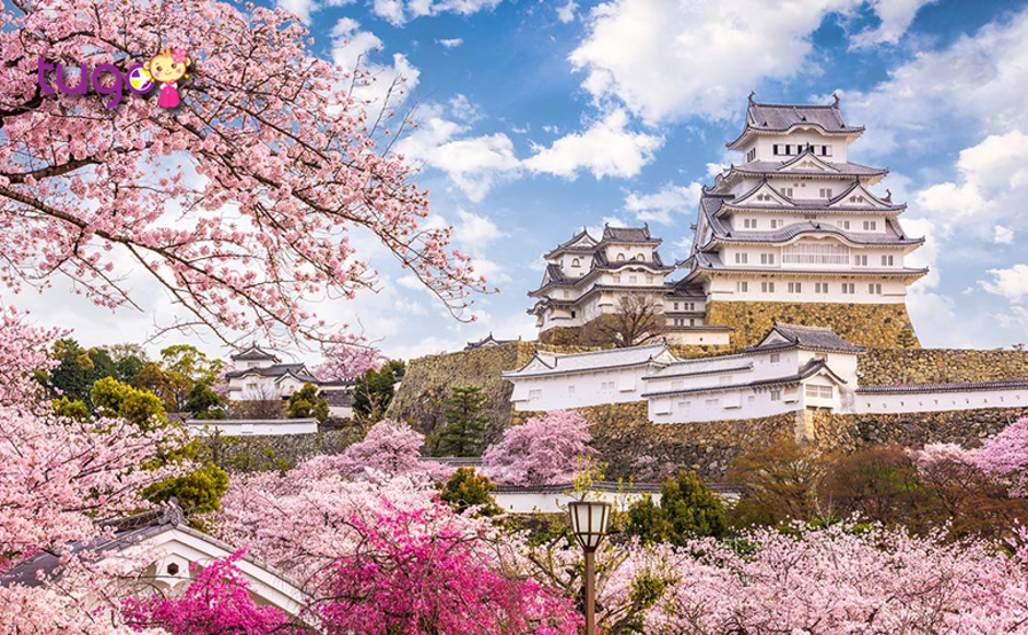 10 Địa điểm tuyệt đẹp phải ghé khi du lịch Nhật Bản mùa xuân ...