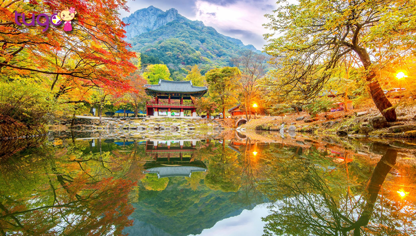 Mùa Thu là khoảng thời gian tuyệt vời để đến Hàn Quốc và chiêm ngưỡng những bức tranh thiên nhiên đẹp như mơ. Hãy cùng đến với Địa điểm du lịch Hàn Quốc để trải nghiệm những cảm xúc tuyệt vời và tìm hiểu sự đa dạng văn hóa của xứ sở kim chi.