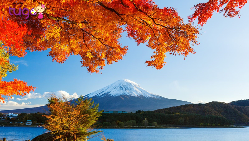 Du lịch Nhật Bản mùa thu: Cẩm nang & Lịch mùa lá đỏ 2019 chi tiết ...