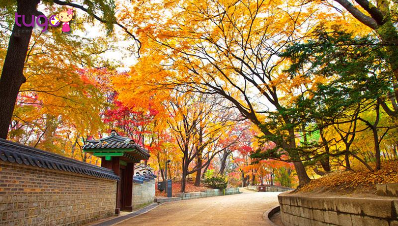 Khí hậu thời tiết ở Seoul Hàn Quốc 4 Mùa & các tháng trong năm 