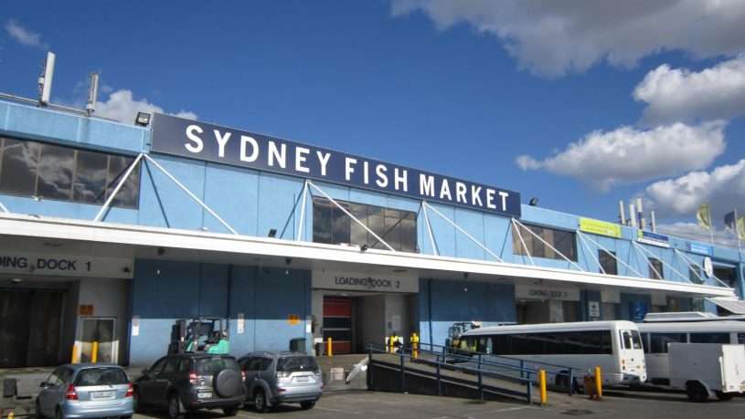 Không gian bên ngoài của chợ cá Sydney