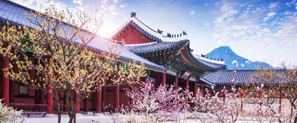 Hàn Quốc thu hút khách du lịch nhờ các danh lam thắng cảnh tuyệt vời và nền văn hóa đặc trưng đậm đà bản sắc